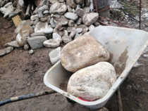 Curat F&acirc;nt&acirc;ni, Noii, Adanciri