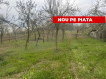 Teren intravilan 2.200 mp cu constructie existenta &ndash;Caline