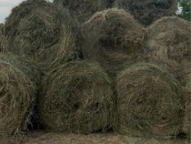 Baloți de diferite tipuri