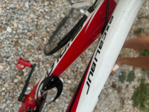 Bicicleta de curse din carbon