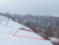 Teren 500 mp &icirc;ntre Perdeluț și Tohanul Nou