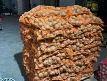 Cartofi de săm&acirc;nță