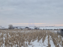 Teren rezidential Moara Bulai