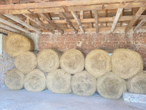 Baloti de lucerna 2025