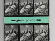 Ion Hobana - Imaginile posibilului