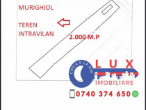 ID INTERN 7459 Teren intravilan *Murighiol