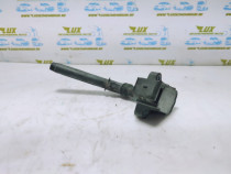 Bobina de inductie  1.2 1.3 TCE hr13 a2829060000 Renault Scenic 4 [201