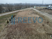 Teren de vânzare 1.000mp Gherăiești