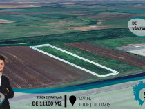 Teren extravilan de 11100 m2,în Izvin(ID:28936)