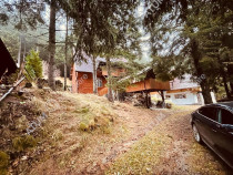 Casa de vacanta/Cabana cu 8 camere de in Paltinis