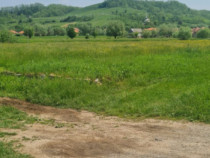 Teren Intravilan, 3670 mp, Sanpaul, Jud Cluj