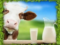 Lapte și produse lactate din lapte de vaca