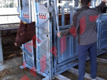Stand de contenție pentru vaci de carne