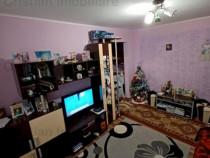 MOBILAT SI UTILAT Apartament 2cam FRUMOS zona Viziru 3