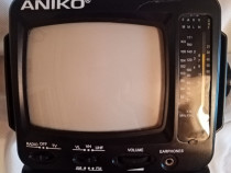 Mini Televizor cu radio incorporat