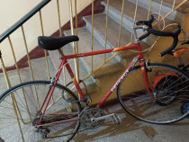 Bicicleta Cursiera peugeot