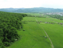 Teren de 5000 mp in Cisnadie, la doar 5 minute de Sibiu