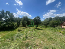 Teren Fedelesoiu/3200 mp/Intravilan