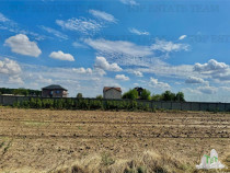 Teren de lotizat la padure cu utilitati in Frumusani / Cala