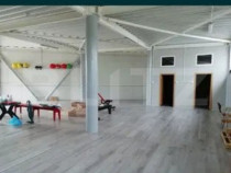 Spatiu Comercial, 300 Mp, zona Narcisa