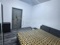 Apartament 1 Camera - Etaj 1 - Renovat - Zona Buziasului