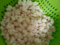 Ciuperca tibetana Kefir