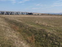 Teren extravilan 5500mp Calea Surii Mici - Autostrada