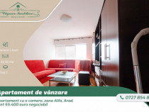 Apartament cu o camera in zona Alfa, Arad, an constructie 20