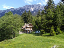 Cabana in pitorescul peisaj din Plaiul Foii, Zarnesti, Brasov
