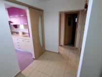 Apartament 2 camere D, , LIDL Nicolina NOU RENOVAT