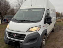 Fiat Ducato Maxi