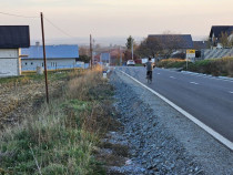 Teren Extravilan 2500 mp-Stroiesti, Suceava