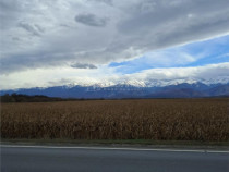 Teren 5000 mp langa E68