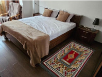 Apartament cu o cameră, etaj 1, Dorobanților