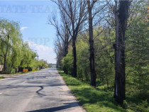 Teren constructii, 650 mp, langa padure, apa, gaze, curent,