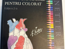 Netter – Atlas de anatomie pentru colorat