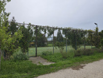 Proprietate Beharca teren 38464mp