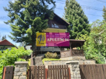 Pensiune de v&acirc;nzare &icirc;n Bușteni - Zona Zamora