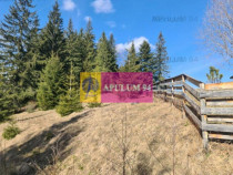 Teren de v&acirc;nzare &icirc;n Predeal - Zona Forban