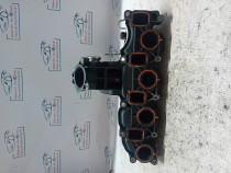 Galerie Admisie Plastic Skoda Fabia 2 2010