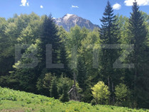 De vanzare, teren intravilan 2100mp, Predeal