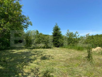 Teren intravilan de vânzare – 30 ari – Zona Podul Jelne