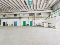 Complex industrial cu hale și teren &icirc;n Orțișoara