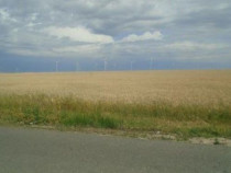 Teren Extravilan Corni, Cota parte 1/2, ID: R2581783