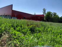 Movilita (IL)-teren de inch. 1800 mp stradal, 30 ml desch...