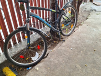 Bicicleta adulti