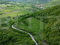 Teren superb, &icirc;n mijlocul naturii, 18.360 mp, la Cărjiți