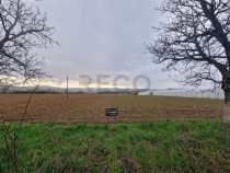 RECO teren intravilan Topa de Cris