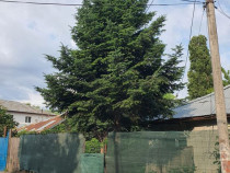 Teren intravilan 190 mp curti constructii - Lac Plumbuita