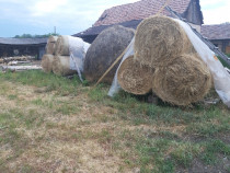 Baloți de lucernă și fân